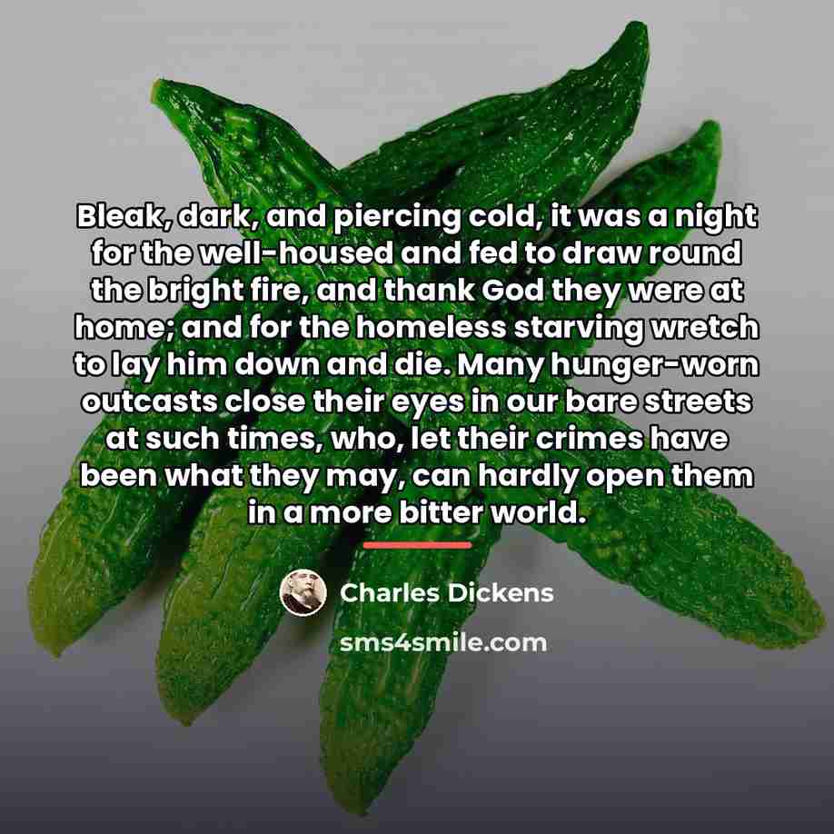“Bleak, dark, and piercing cold, it was a night for…” quote by Charles Dickens