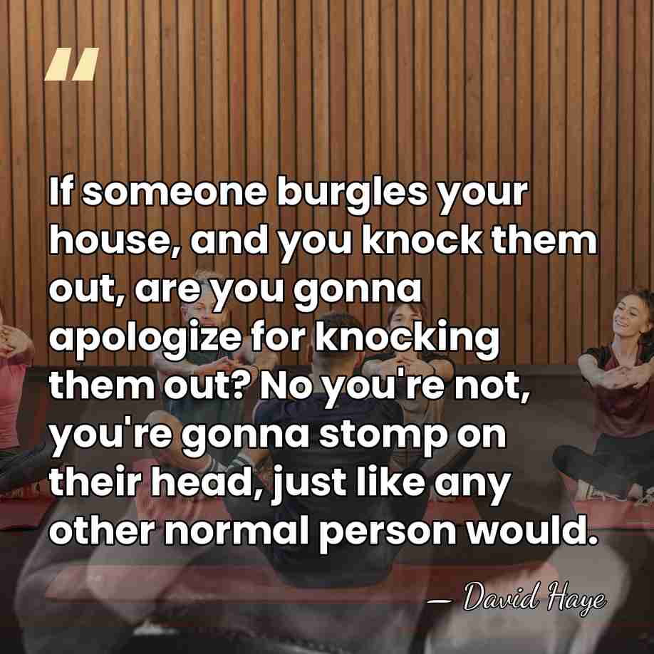 If someone burgles your house, and you knock them out, are you&hellip; - David Haye