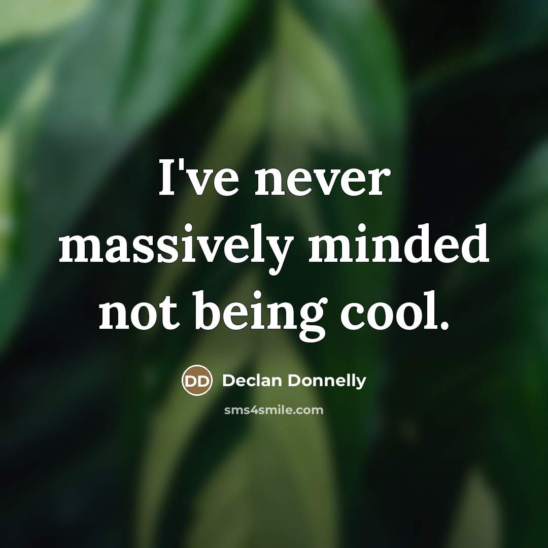 “I've never massively minded not being cool.…” quote by Declan Donnelly