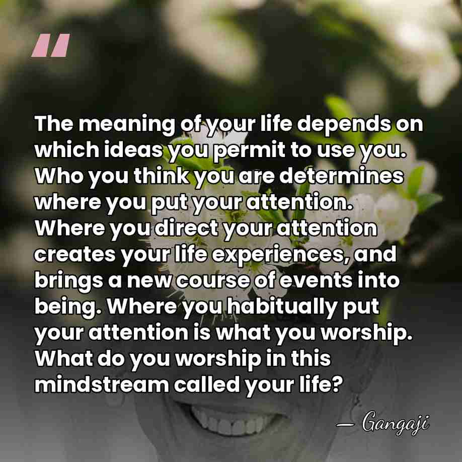 The meaning of your life depends on which ideas you permit to&hellip; - Gangaji