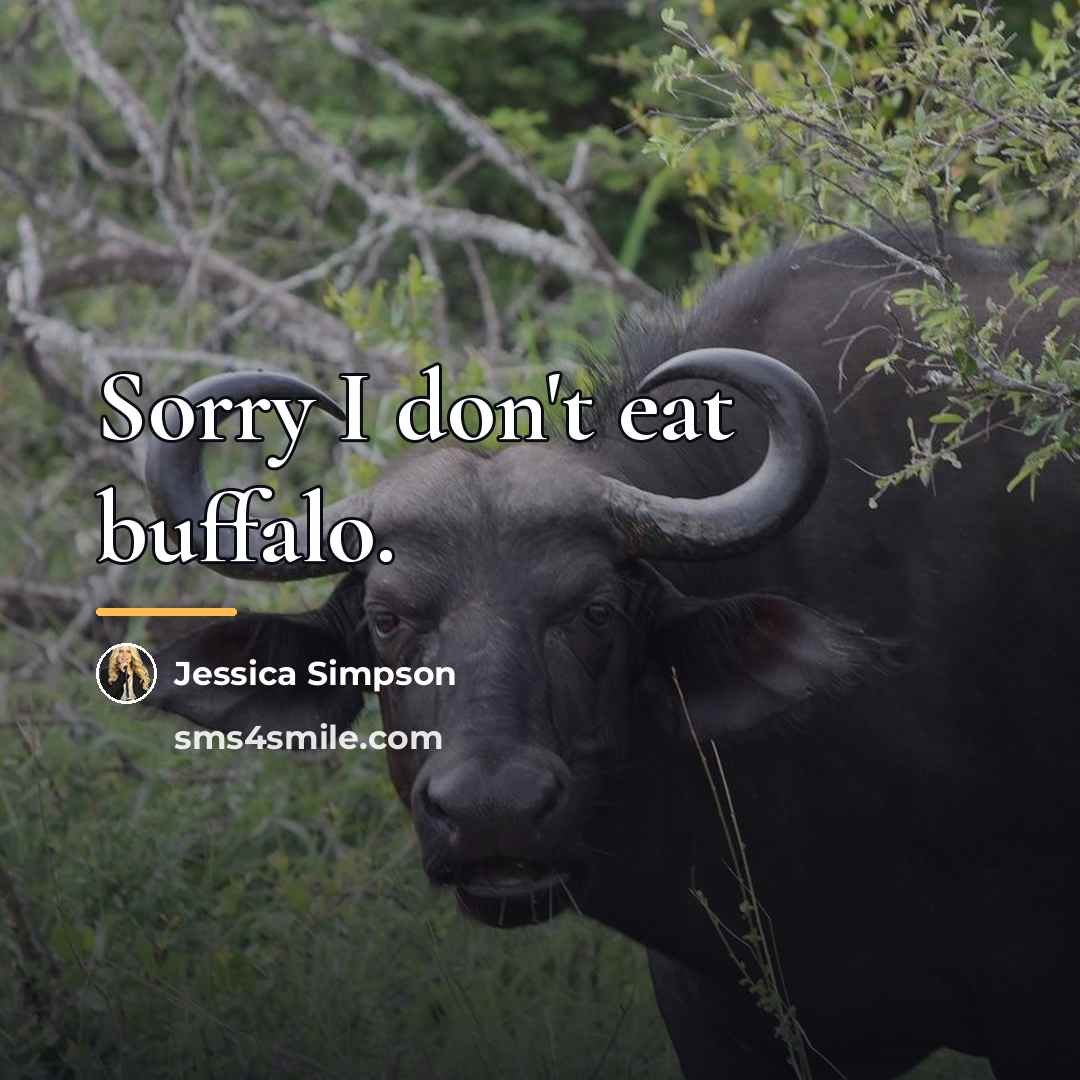 “Sorry I don't eat buffalo.…” quote by Jessica Simpson