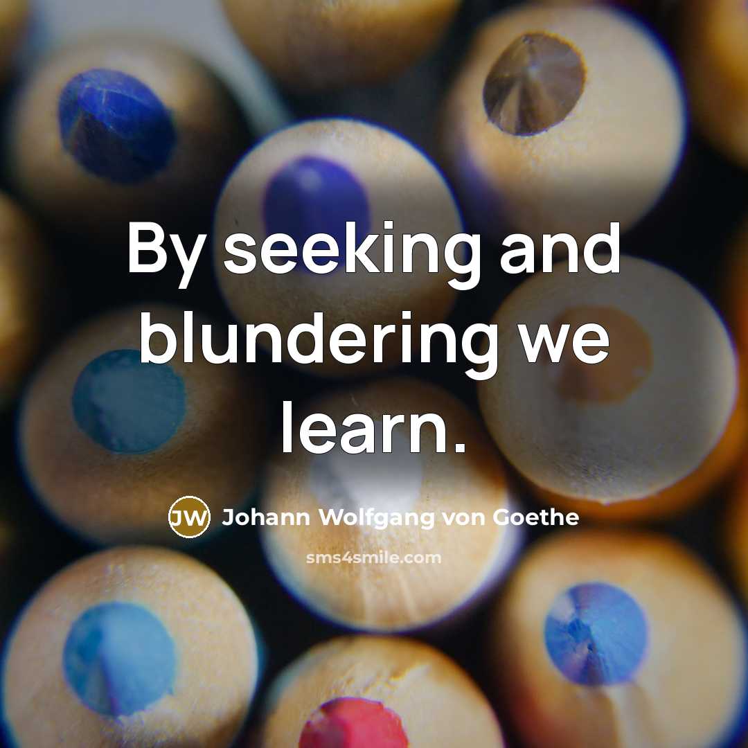 “By seeking and blundering we learn.…” quote by Johann Wolfgang von Goethe