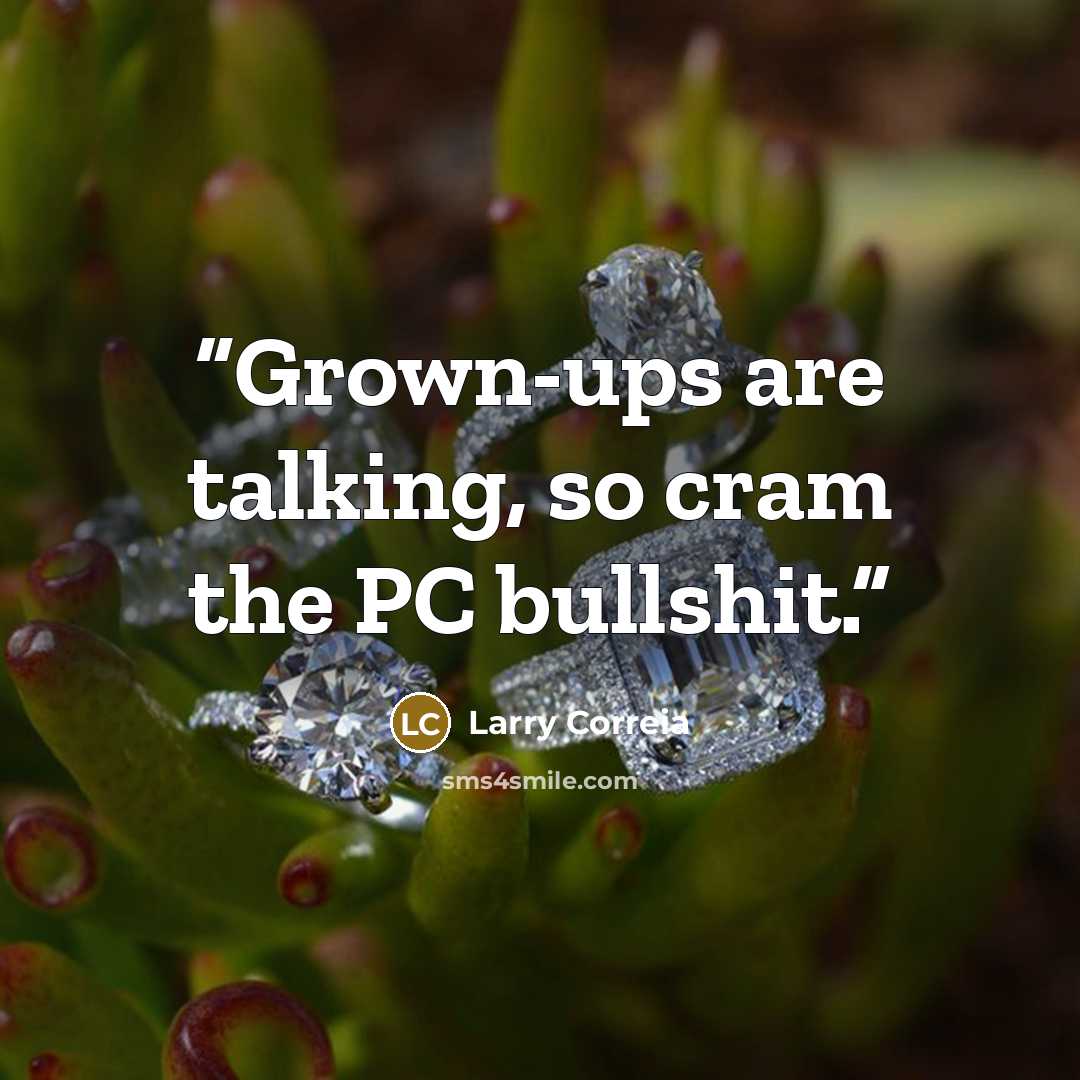 “Grown-ups are talking, so cram the PC bullshit.” quote by Larry Correia