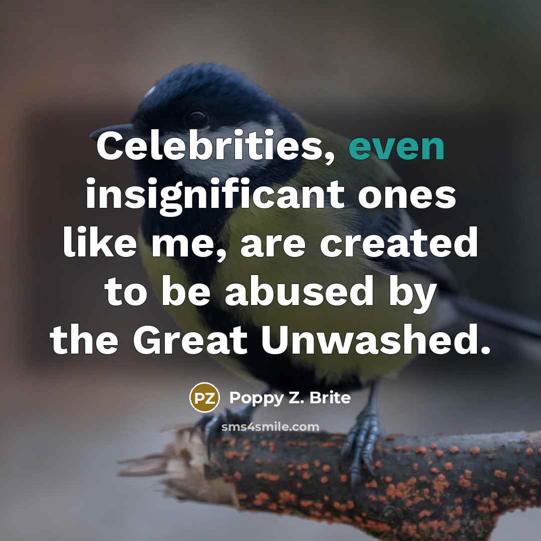 “Celebrities, even insignificant ones like me, are created to be…” quote by Poppy Z. Brite