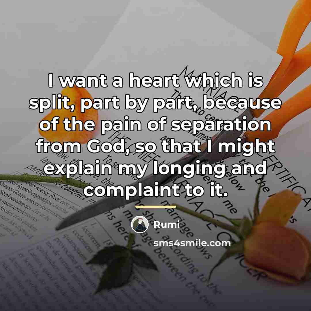 “I want a heart which is split, part by part,…” quote by Rumi
