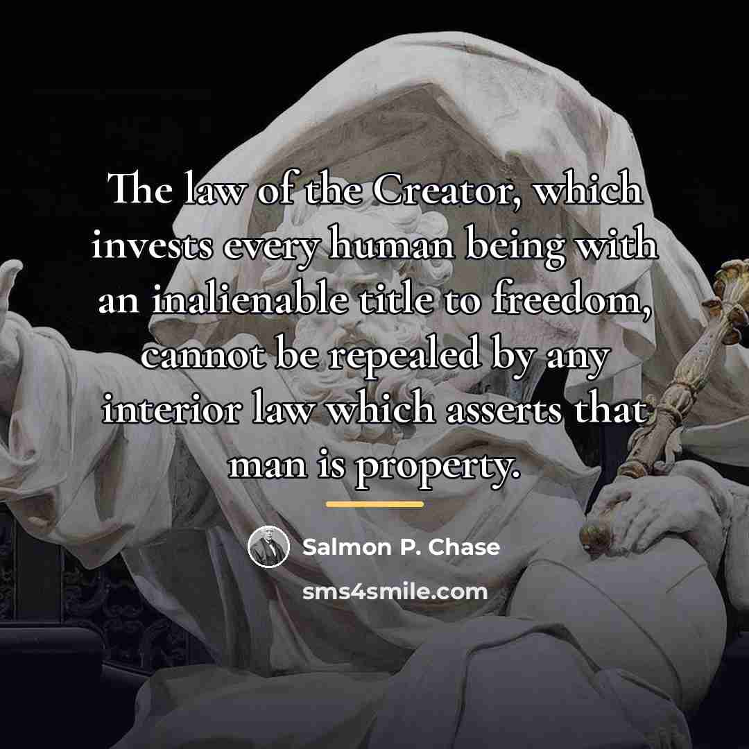 “The law of the Creator, which invests every human being…” quote by Salmon P. Chase