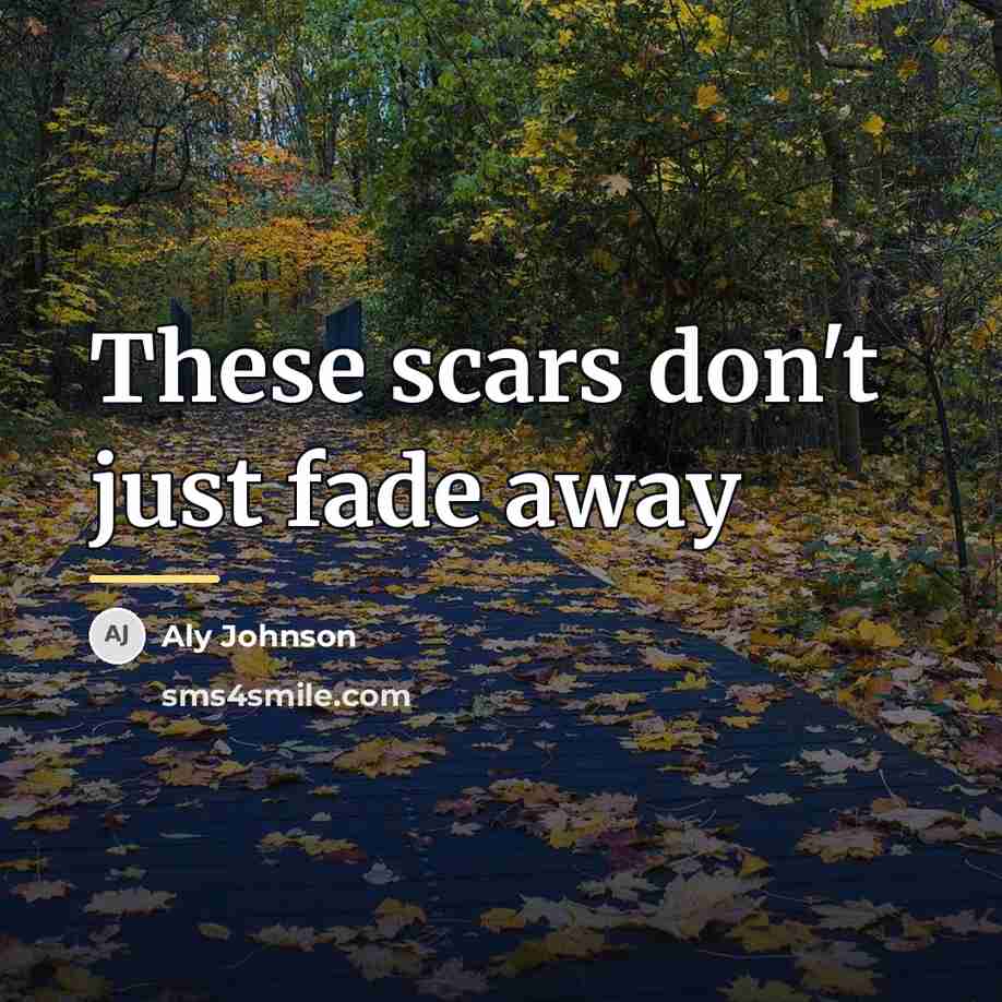 “These scars don't just fade away…” quote by Aly Johnson