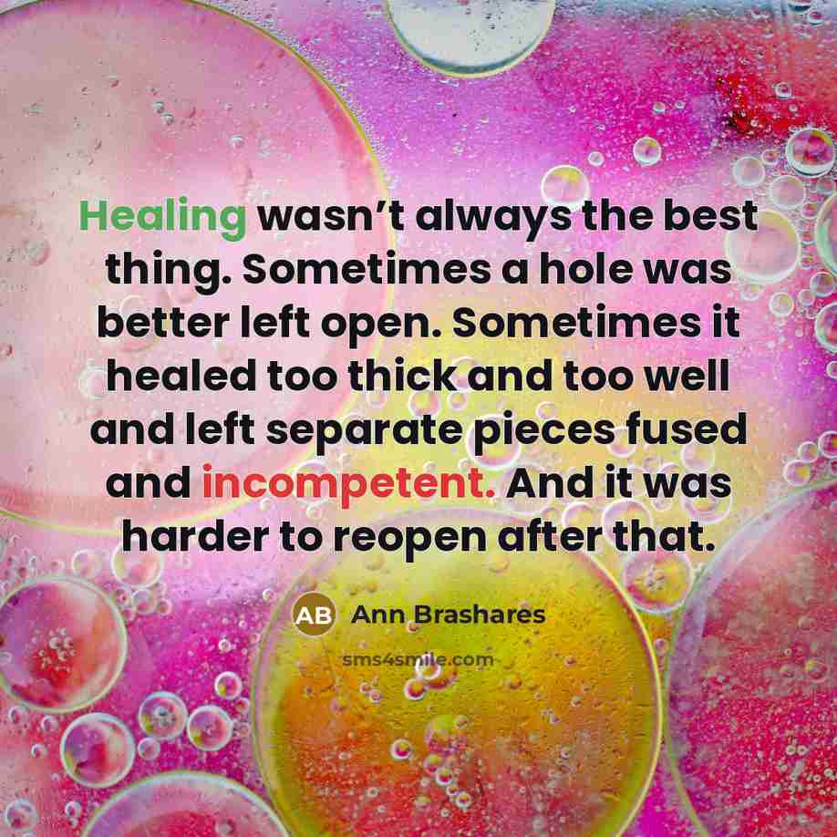 “Healing wasn’t always the best thing. Sometimes a hole was…” quote by Ann Brashares