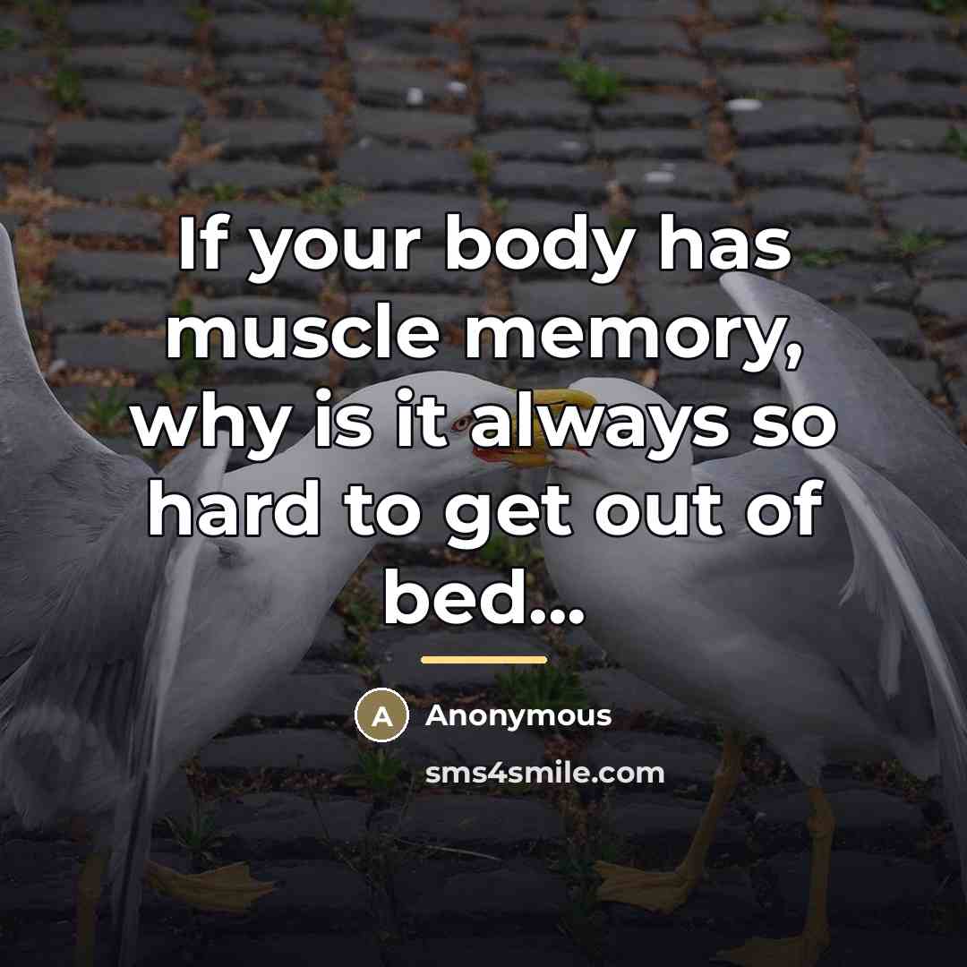 “If your body has muscle memory, why is it always…” quote by Anonymous