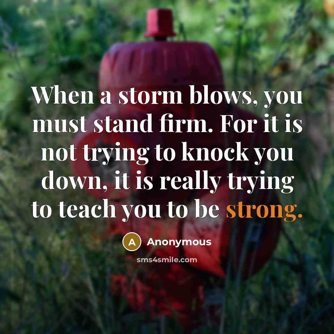 “When a storm blows, you must stand firm. For it…” quote by Anonymous