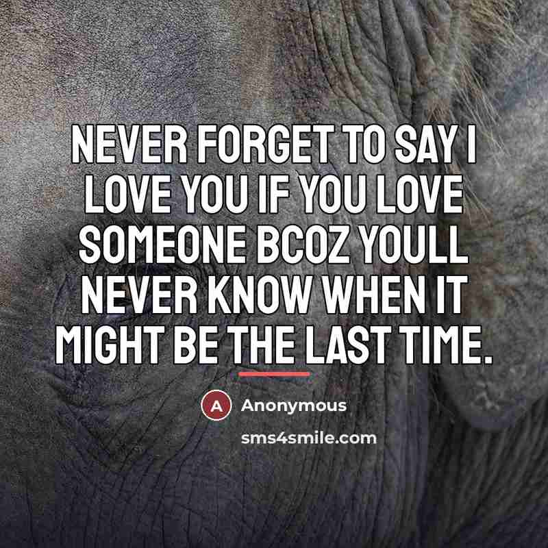 “Never forget to say I love you if you love…” quote by Anonymous