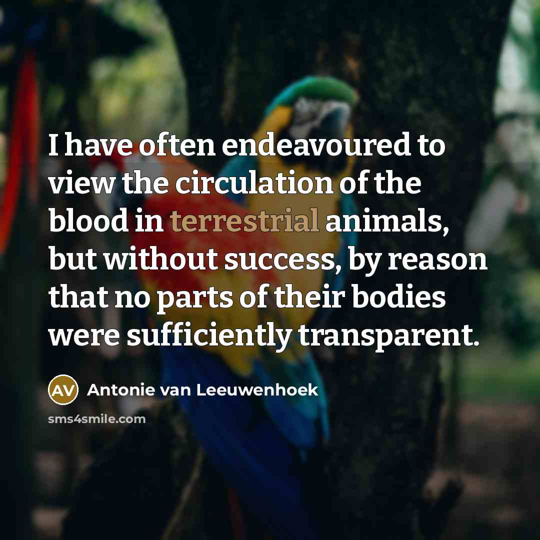 “I have often endeavoured to view the circulation of the…” quote by Antonie van Leeuwenhoek