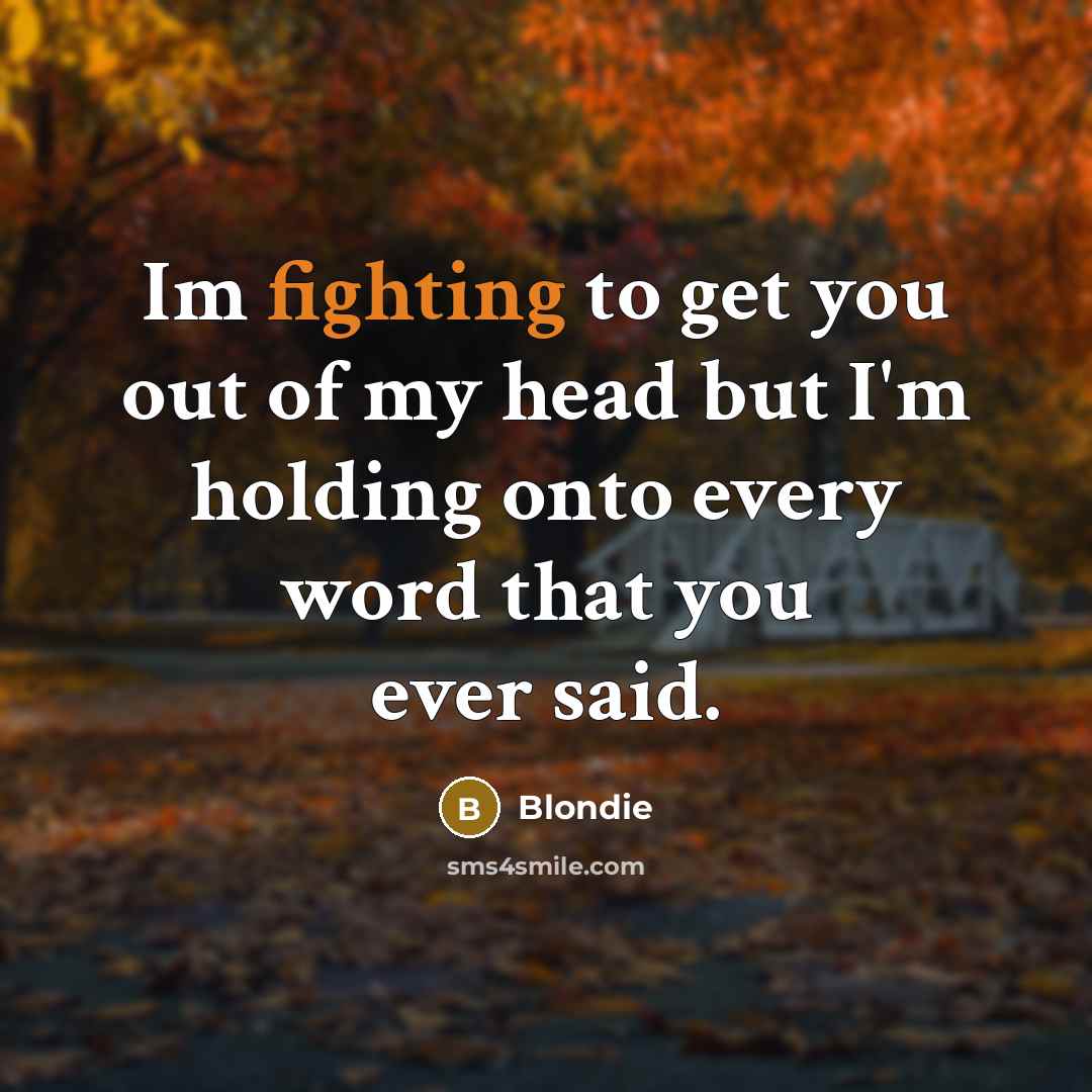 “Im fighting to get you out of my head but…” quote by Blondie
