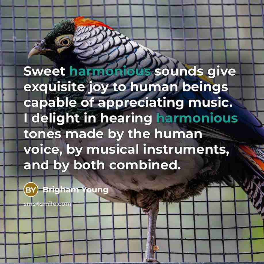 “Sweet harmonious sounds give exquisite joy to human beings capable…” quote by Brigham Young