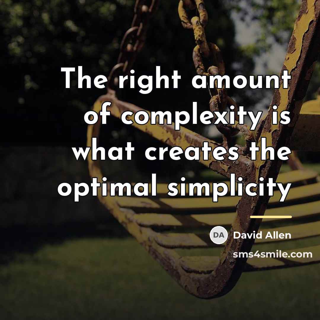 “The right amount of complexity is what creates the optimal…” quote by David Allen