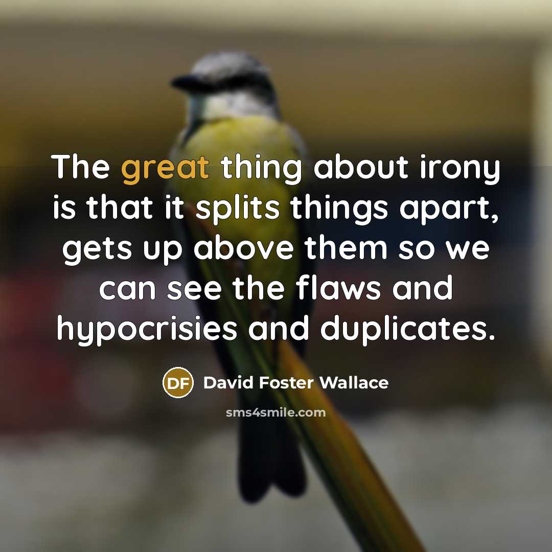 “The great thing about irony is that it splits things…” quote by David Foster Wallace