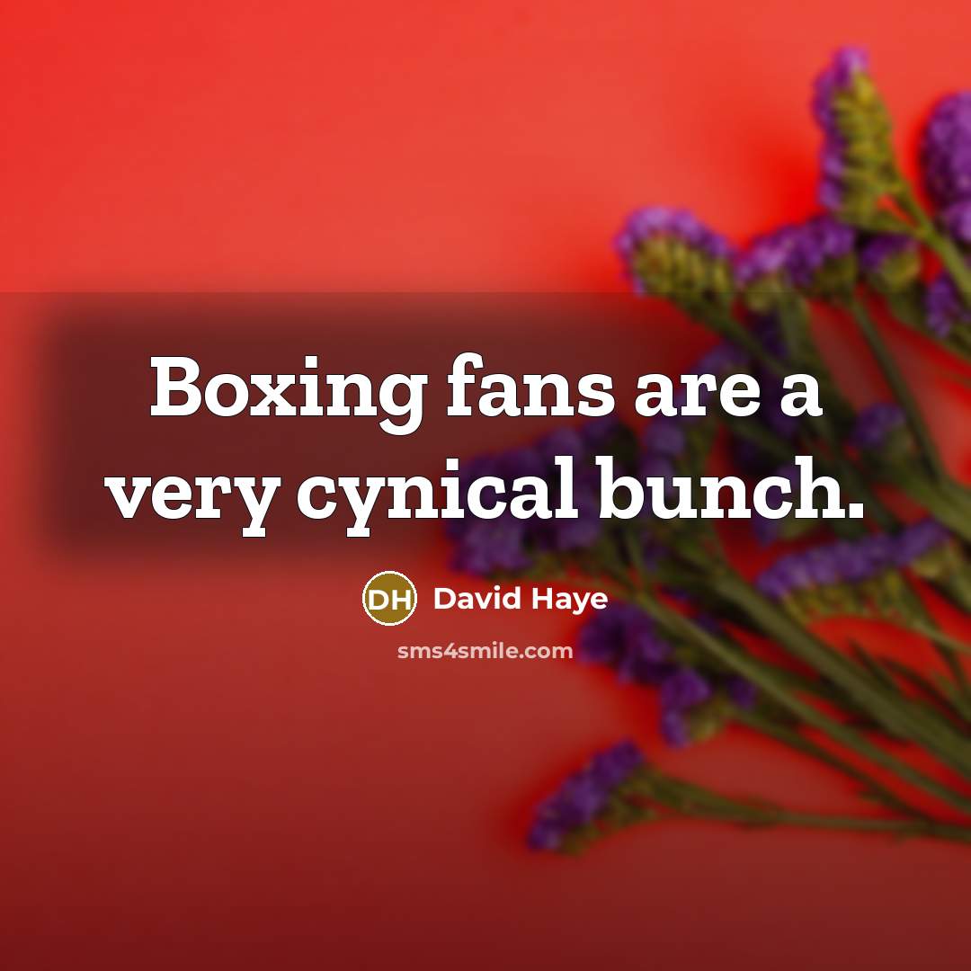 “Boxing fans are a very cynical bunch.…” quote by David Haye