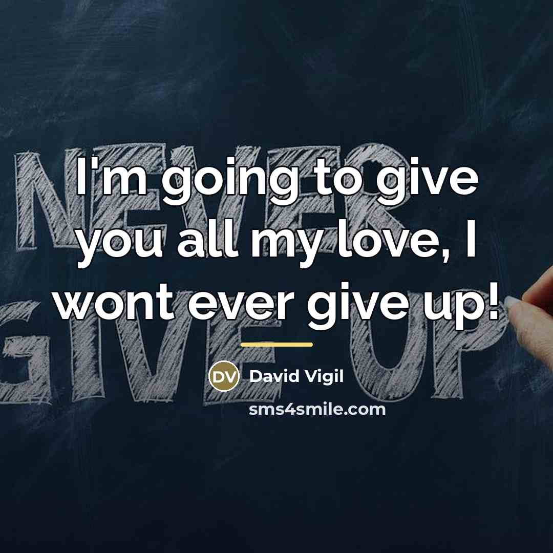“I'm going to give you all my love, I wont…” quote by David Vigil