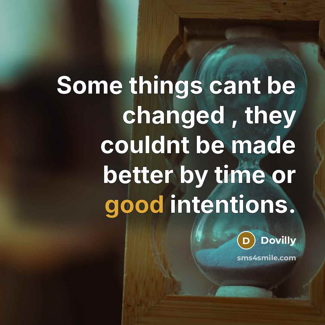 “Some things cant be changed , they couldnt be made better by time or good intentions.” quote by Dovilly