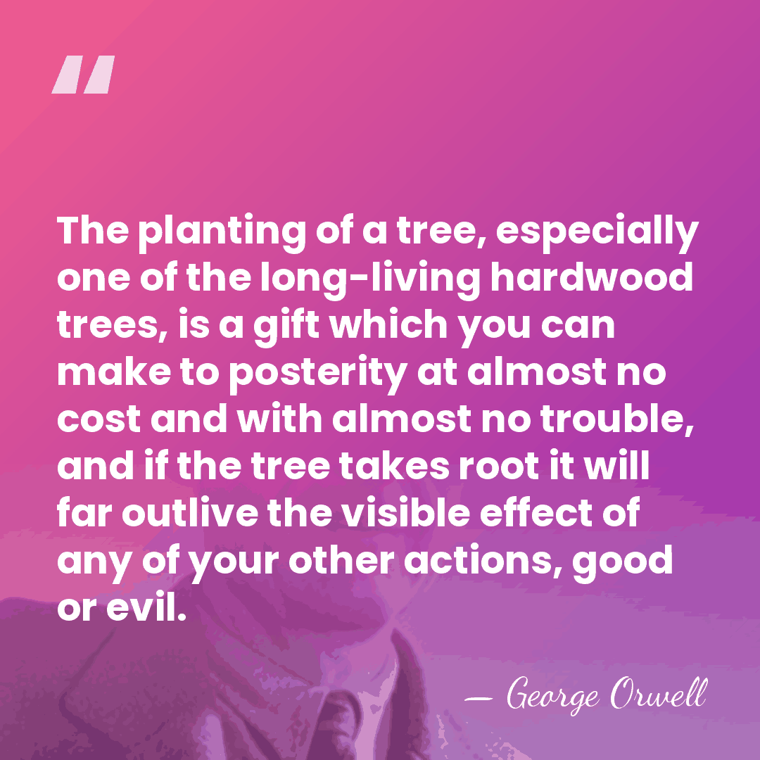 The planting of a tree, especially one of the long-living hardwood trees,&hellip; - George Orwell