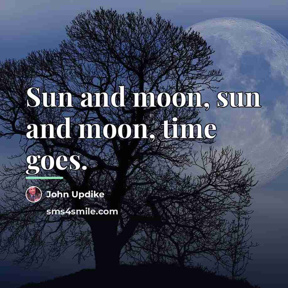 “Sun and moon, sun and moon, time goes.…” quote by John Updike