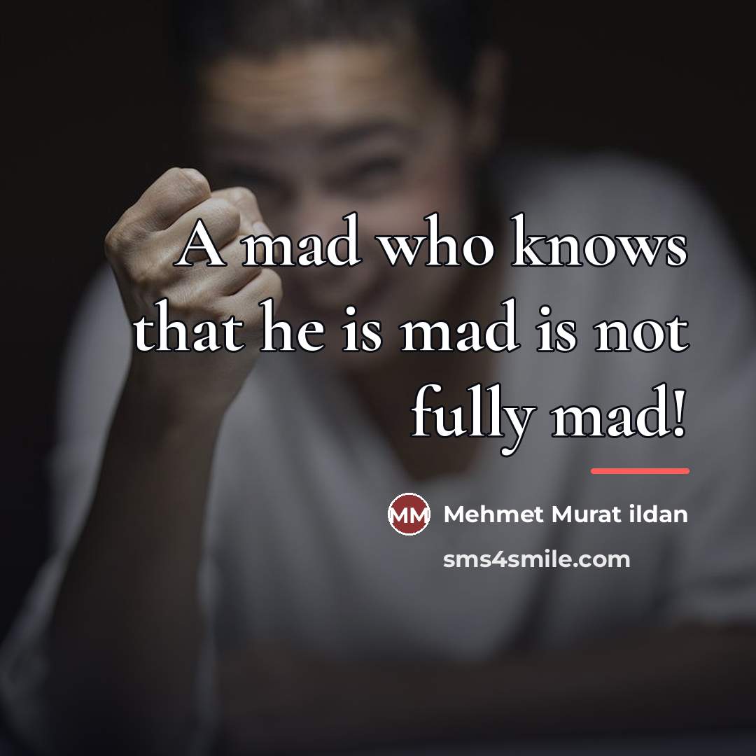 “A mad who knows that he is mad is not…” quote by Mehmet Murat Ildan