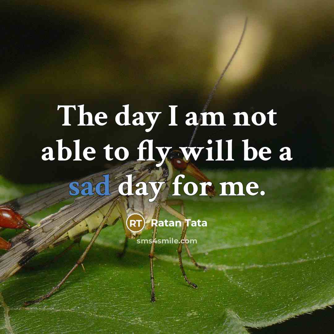 “The day I am not able to fly will be…” quote by Ratan Tata
