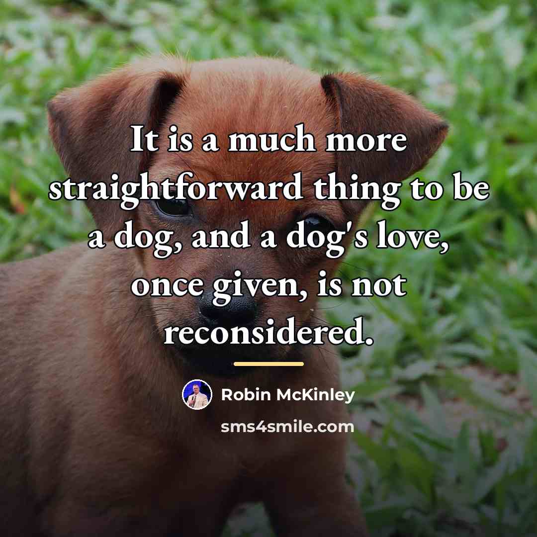 “It is a much more straightforward thing to be a…” quote by Robin McKinley