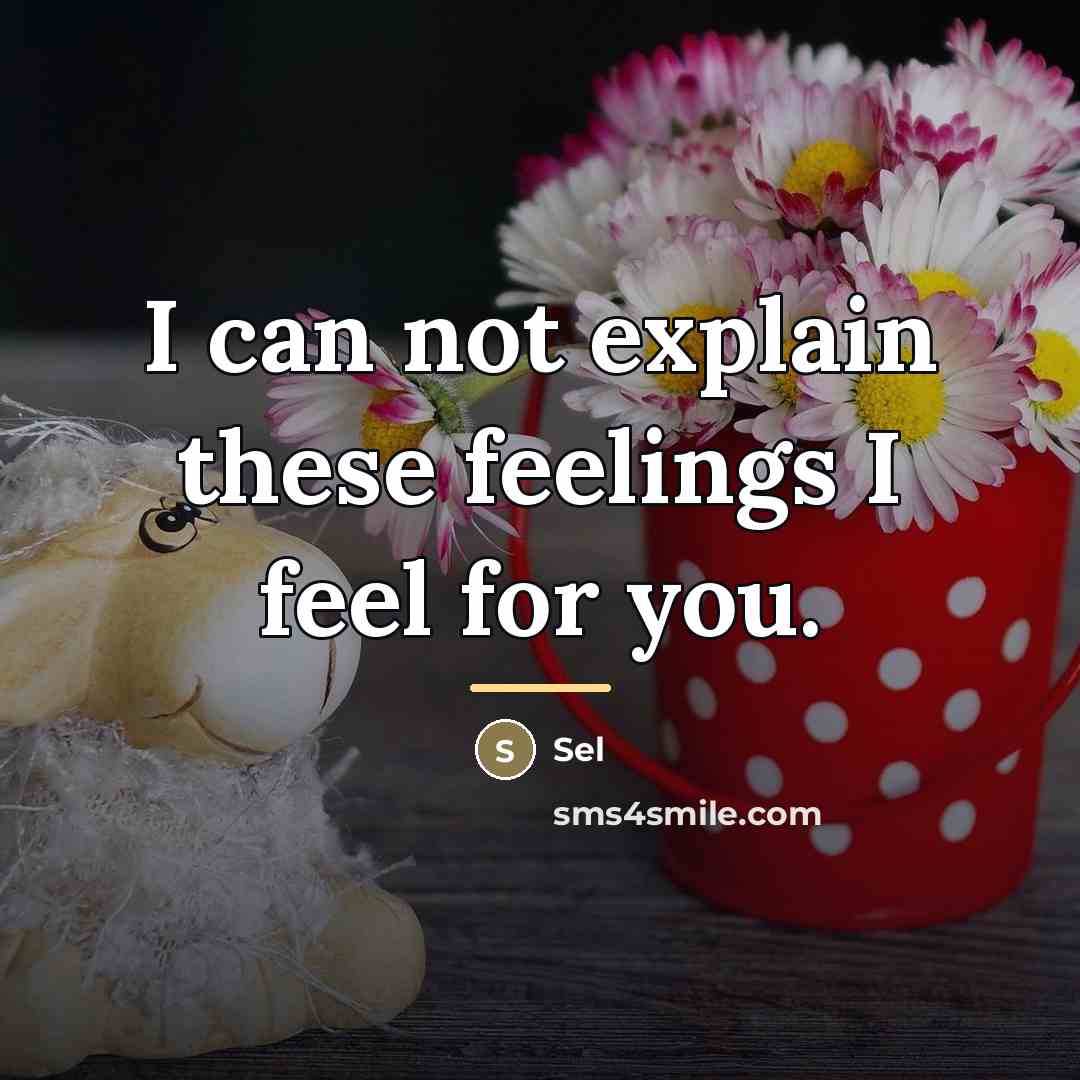 “I can not explain these feelings I feel for you.…” quote by Sel