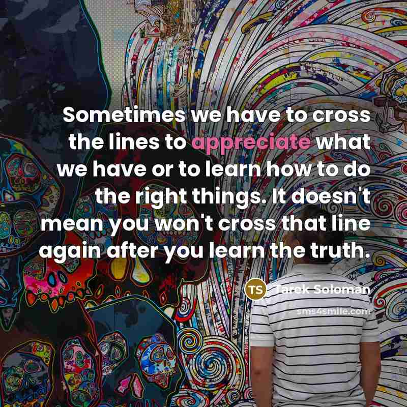 “Sometimes we have to cross the lines to appreciate what…” quote by Tarek Soloman