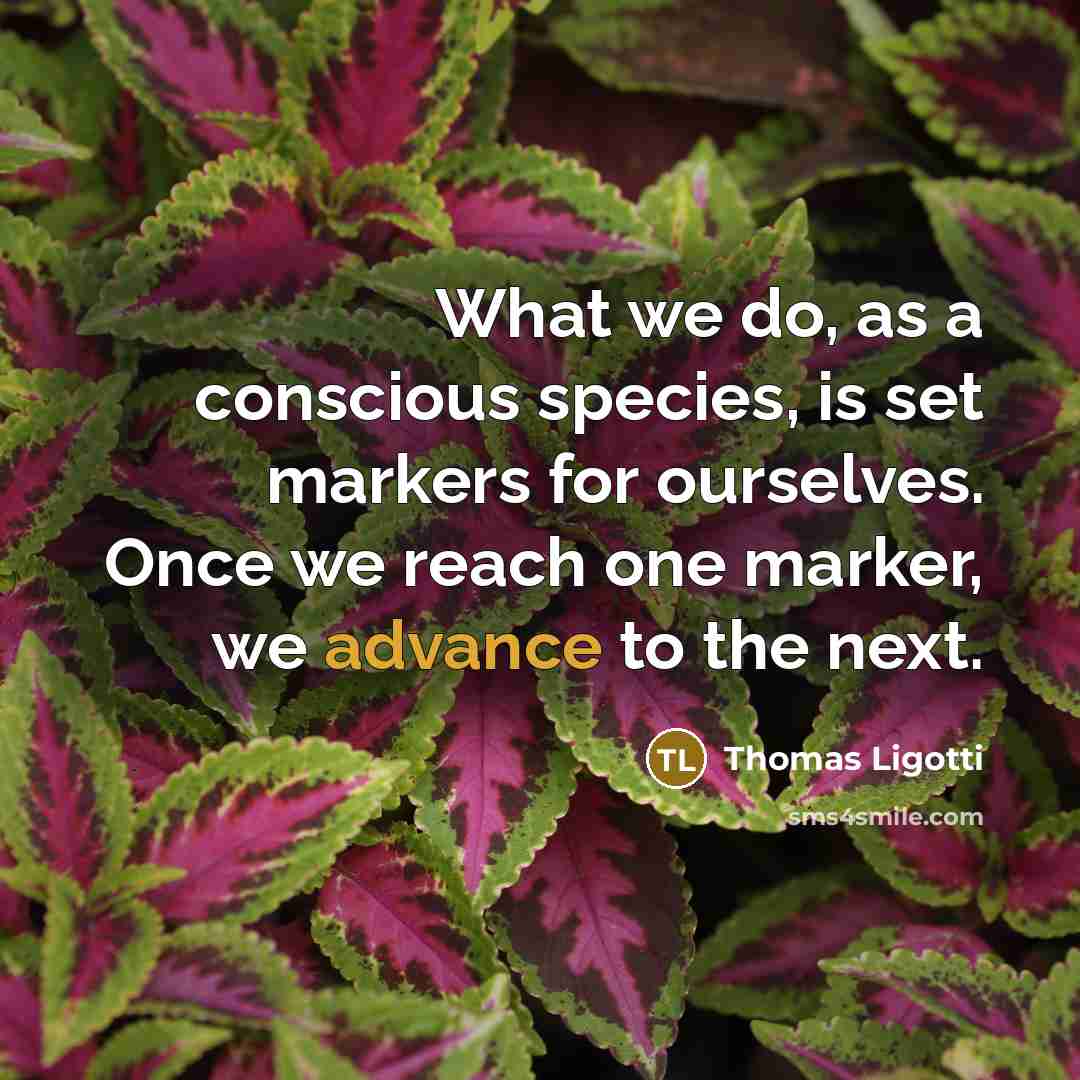 “What we do, as a conscious species, is set markers…” quote by Thomas Ligotti