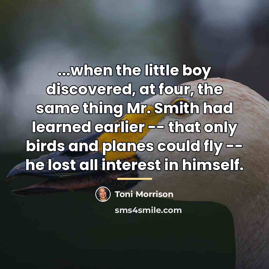 “...when the little boy discovered, at four, the same thing…” quote by Toni Morrison