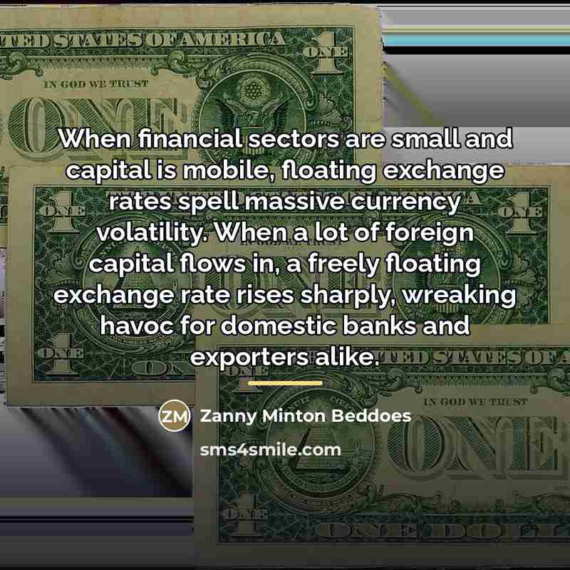 “When financial sectors are small and capital is mobile, floating…” quote by Zanny Minton Beddoes