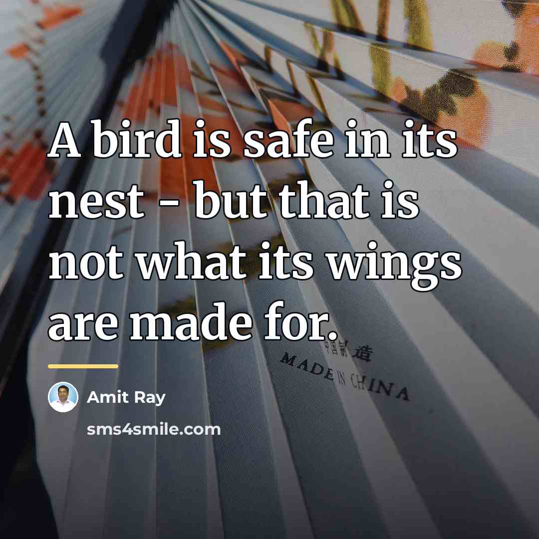 “A bird is safe in its nest - but that…” quote by Amit Ray