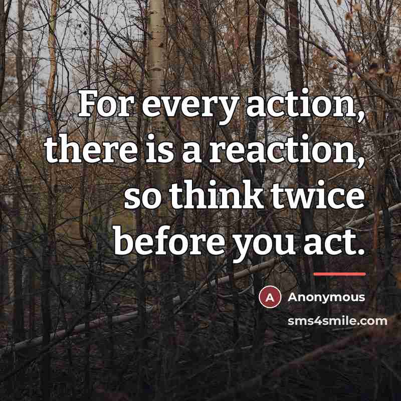 “For every action, there is a reaction, so think twice…” quote by Anonymous