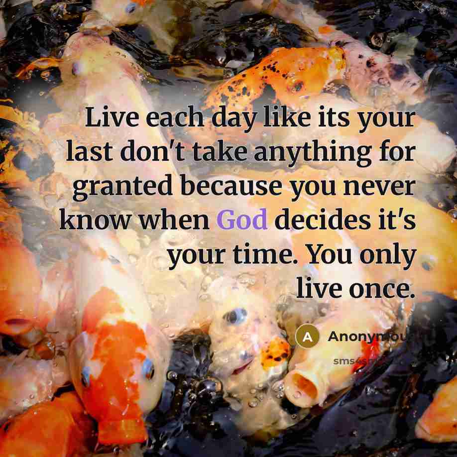 “Live each day like its your last don't take anything…” quote by Anonymous