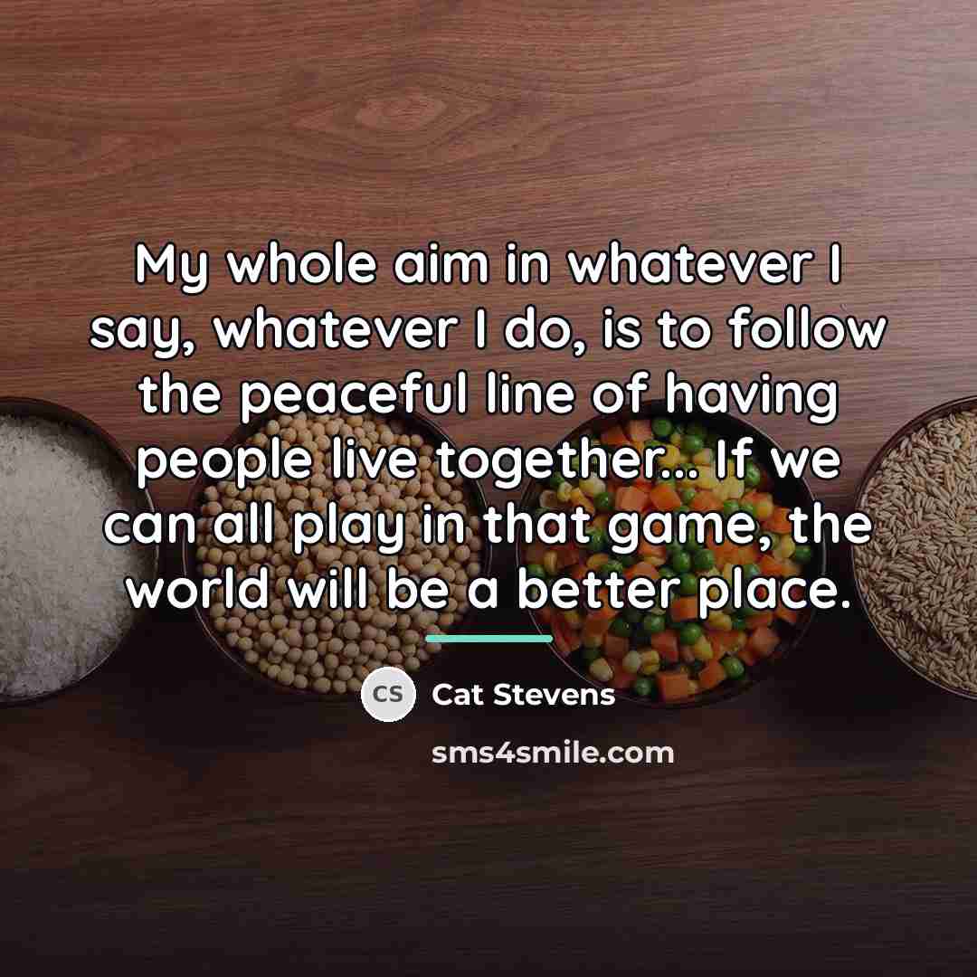 “My whole aim in whatever I say, whatever I do,…” quote by Cat Stevens