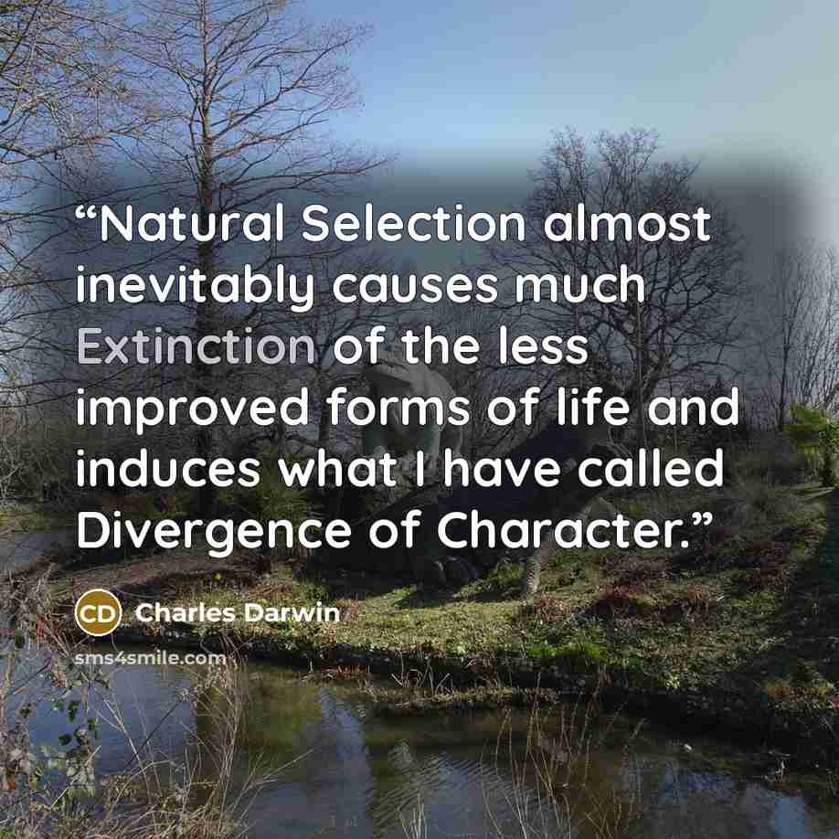 “Natural Selection almost inevitably causes much Extinction of the less improved forms of life and induces what I have called Divergence of Character.” quote by Charles Darwin