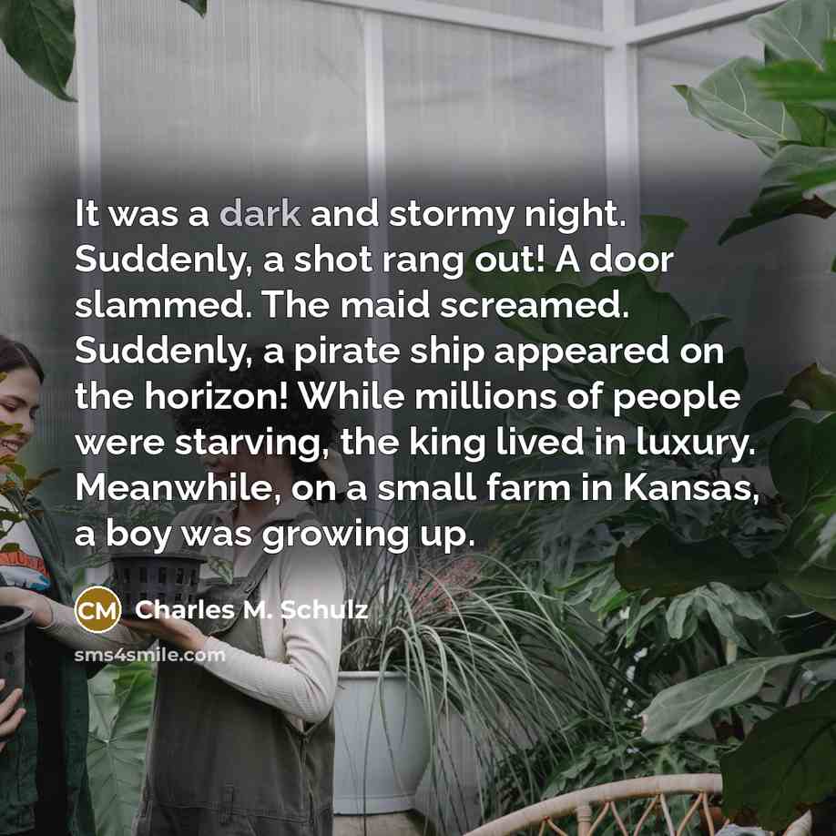 “It was a dark and stormy night. Suddenly, a shot…” quote by Charles M. Schulz