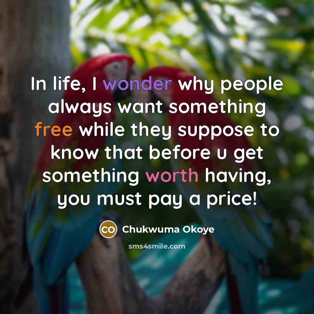 “In life, I wonder why people always want something free while they suppose to know that before u get something worth having, you must pay a price!” quote by Chukwuma Okoye