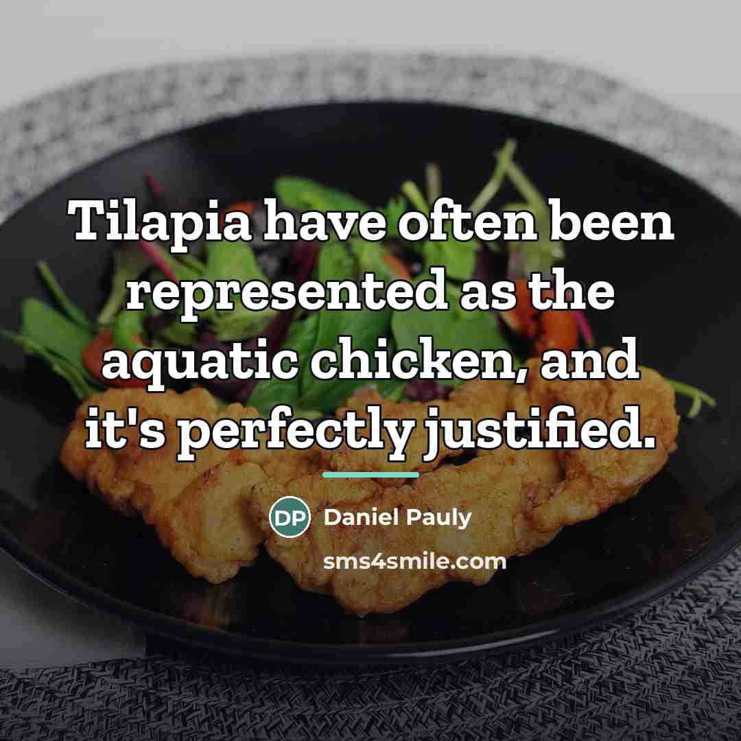 “Tilapia have often been represented as the aquatic chicken, and…” quote by Daniel Pauly