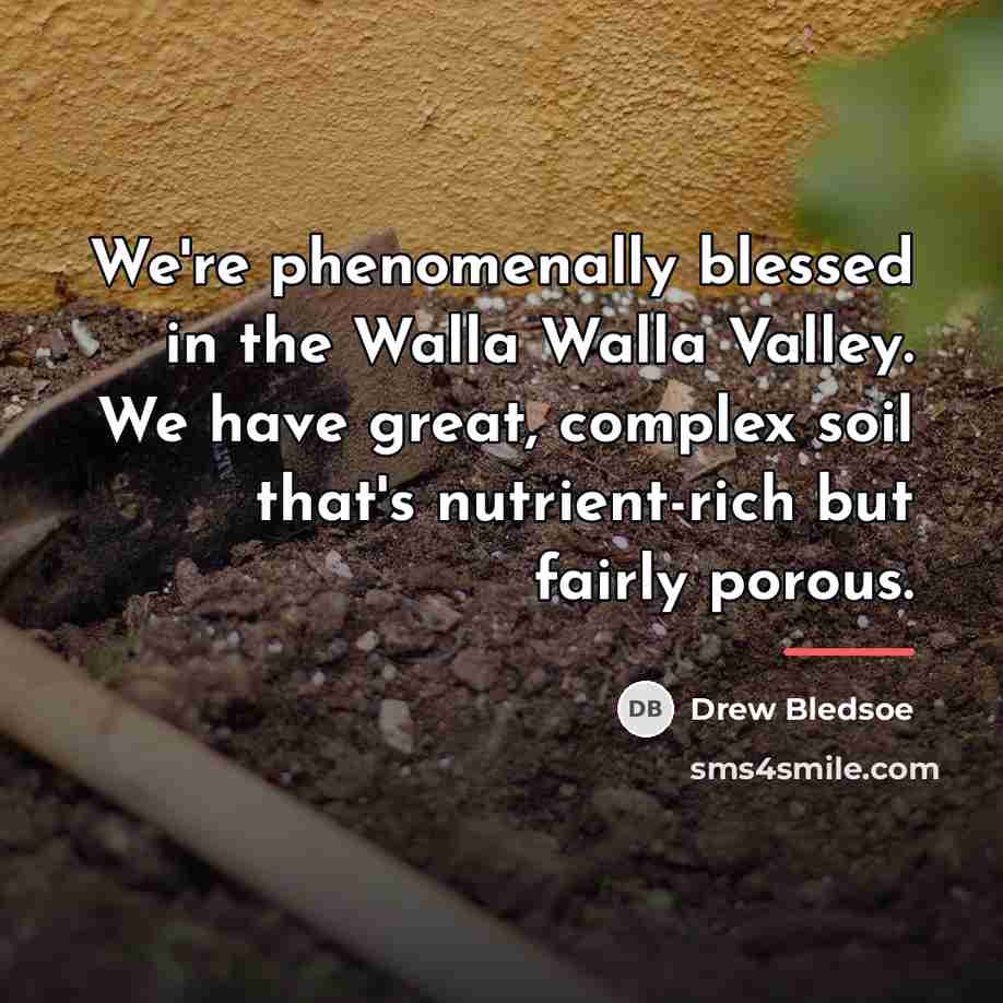 “We're phenomenally blessed in the Walla Walla Valley. We have…” quote by Drew Bledsoe