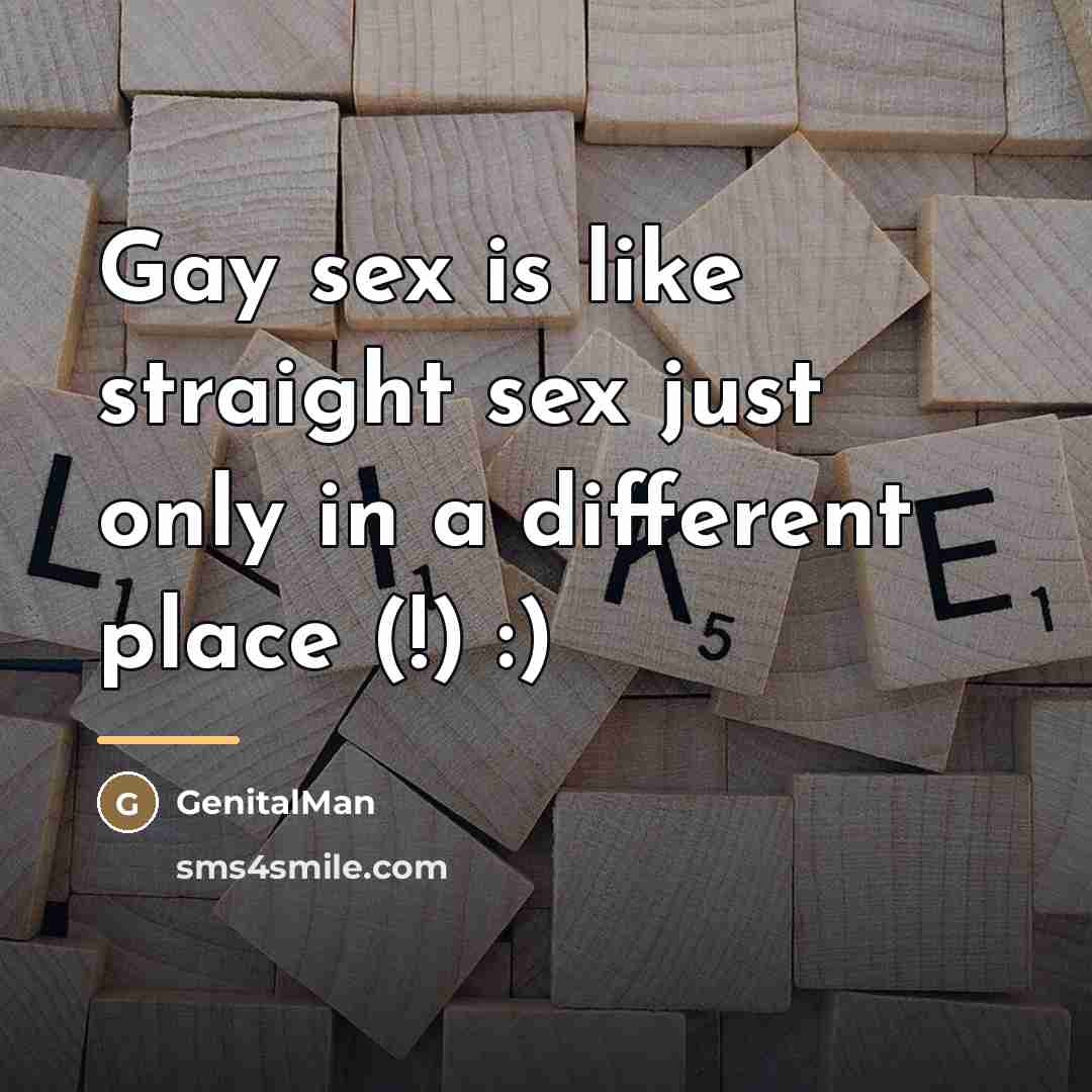 “Gay sex is like straight sex just only in a…” quote by GenitalMan