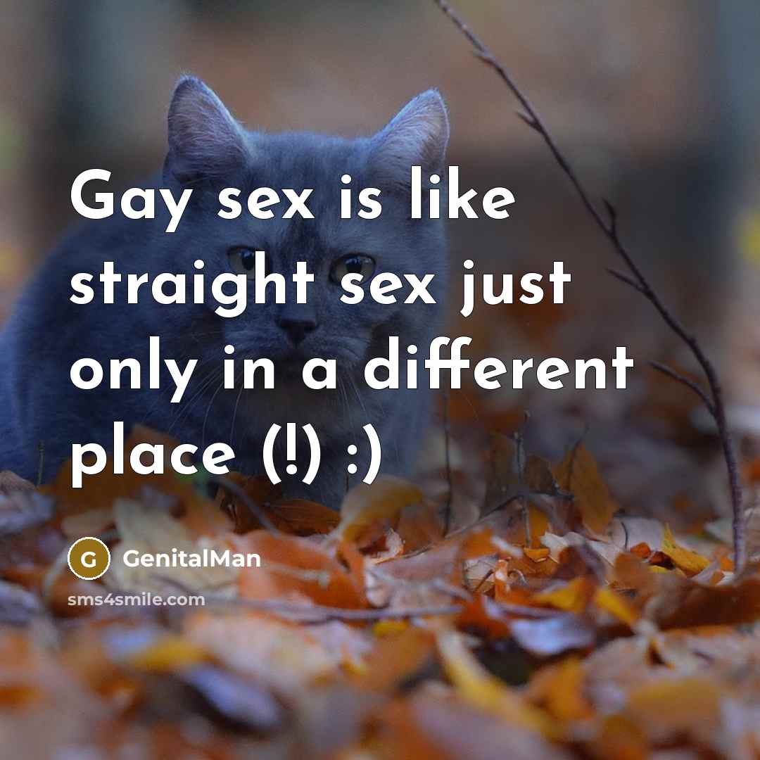 “Gay sex is like straight sex just only in a different place (!) :)” quote by GenitalMan