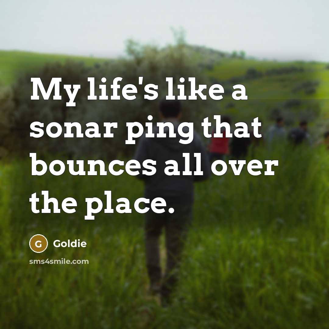 “My life's like a sonar ping that bounces all over…” quote by Goldie