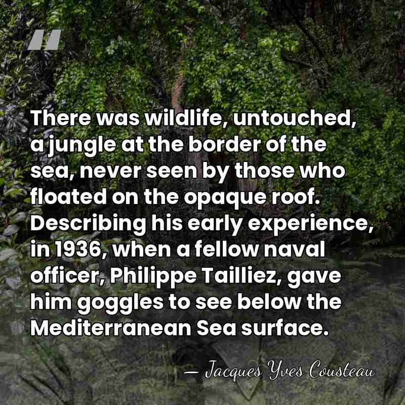 There was wildlife, untouched, a jungle at the border of the sea,&hellip; - Jacques Yves Cousteau