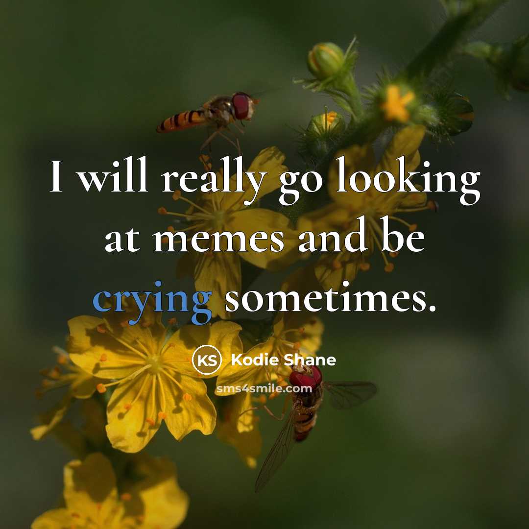 “I will really go looking at memes and be crying…” quote by Kodie Shane