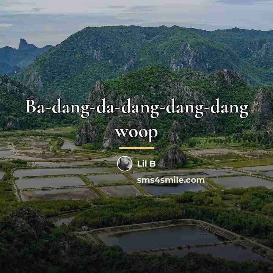 “Ba-dang-da-dang-dang-dang woop…” quote by Lil B