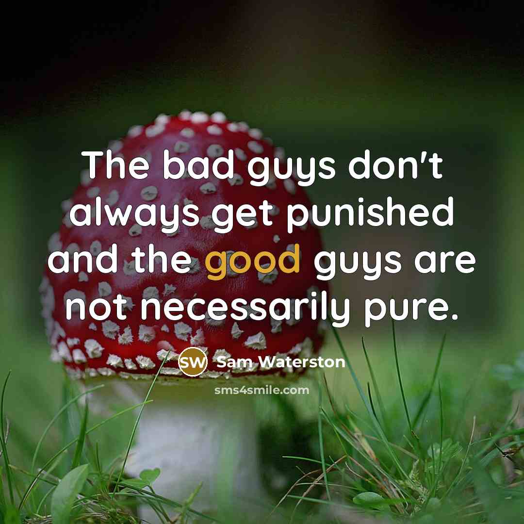 “The bad guys don't always get punished and the good…” quote by Sam Waterston
