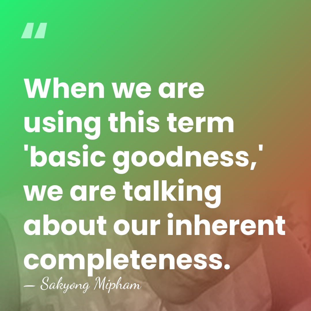 When we are using this term 'basic goodness,' we are talking about&hellip; - Sakyong Mipham